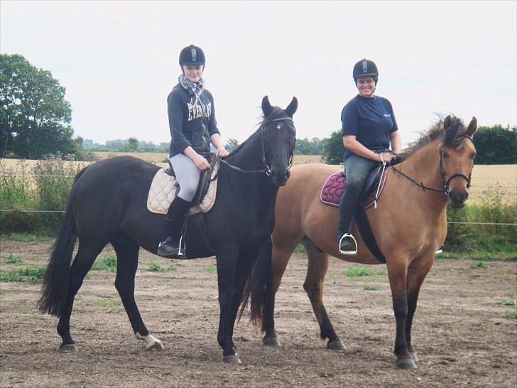 Anden særlig race Rocky billede 13