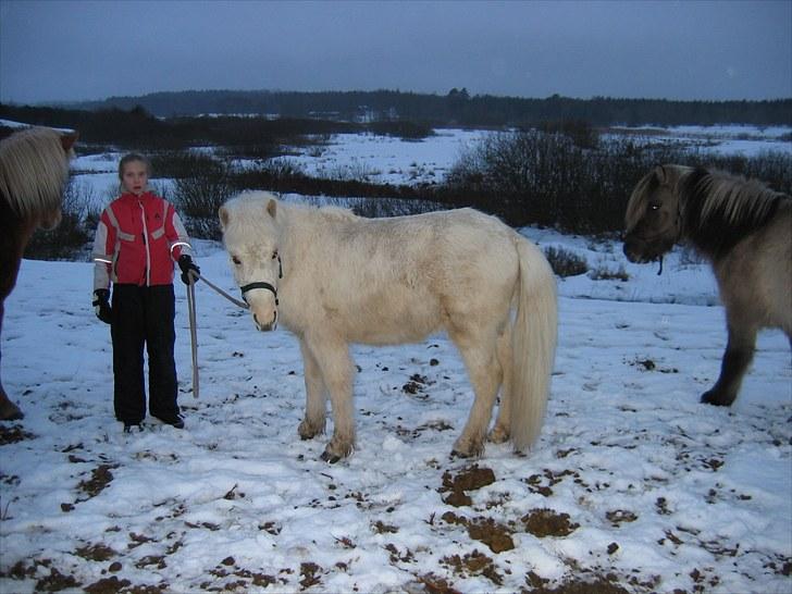 Islænder grimur - her er grimur og line  billede 6