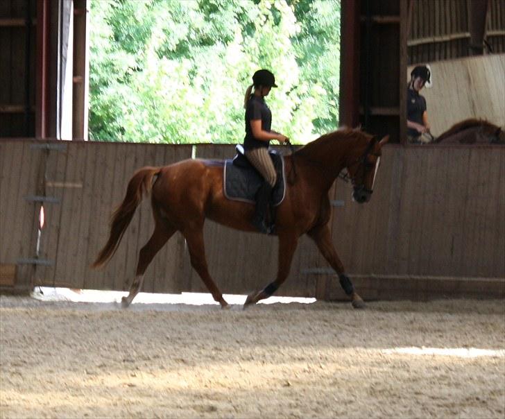 Oldenborg Wonderfull Fly RIP billede 7