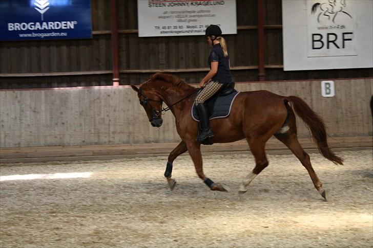 Oldenborg Wonderfull Fly RIP billede 8