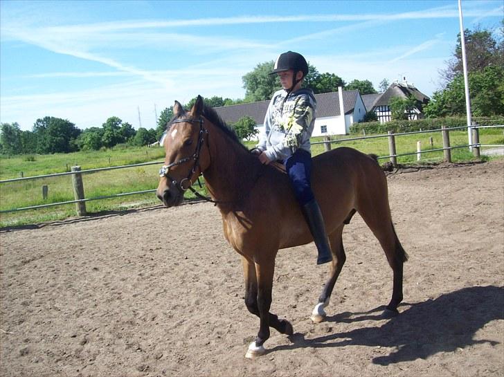 Anden særlig race simba  solgt - 1/7-2010 billede 5