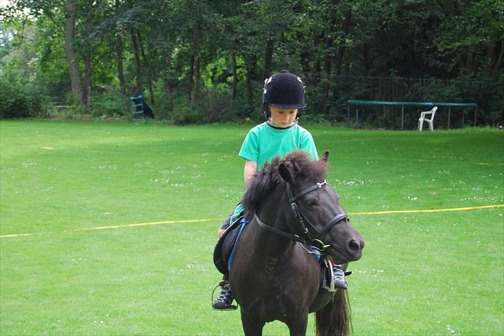 Shetlænder Sabrine - nr,19) NYT Fætter skulle lige prøve en tur!<3 hun er blevet så god når man har rytter på ryggen af hende!!<3 Foto: Mor :D Tak fordi i så med lig meget gerne en komantar!<3 billede 15