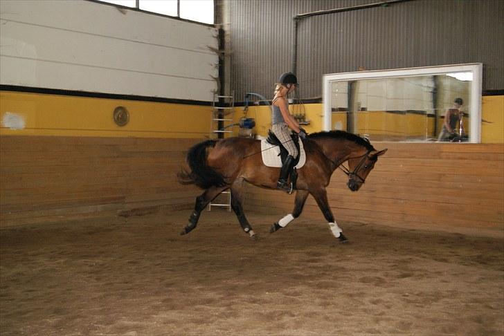 Dansk Varmblod Miss Cuba Xpart - Dressur d. 13.07.10 :D Trav fotograf: Olivia  billede 20