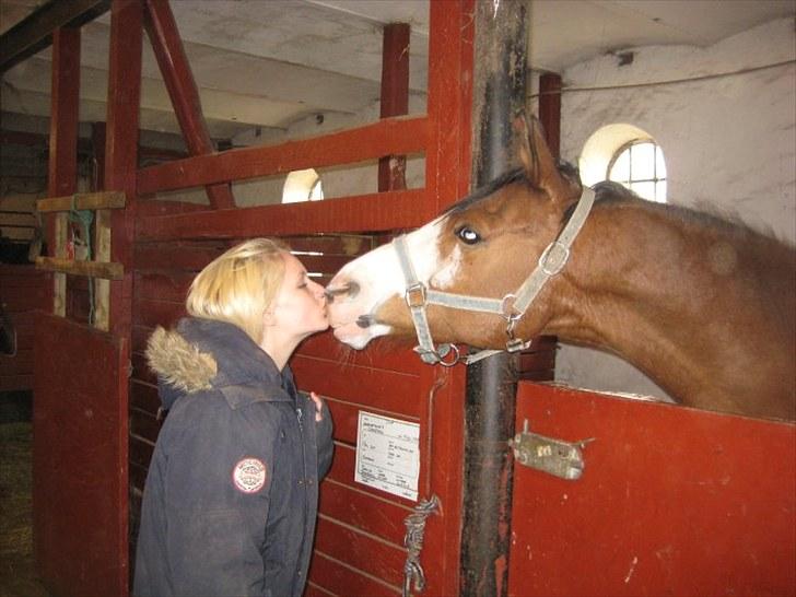 DSP Sønderlunds Chauteau - Min skønne pony og jeg i stalden billede 3