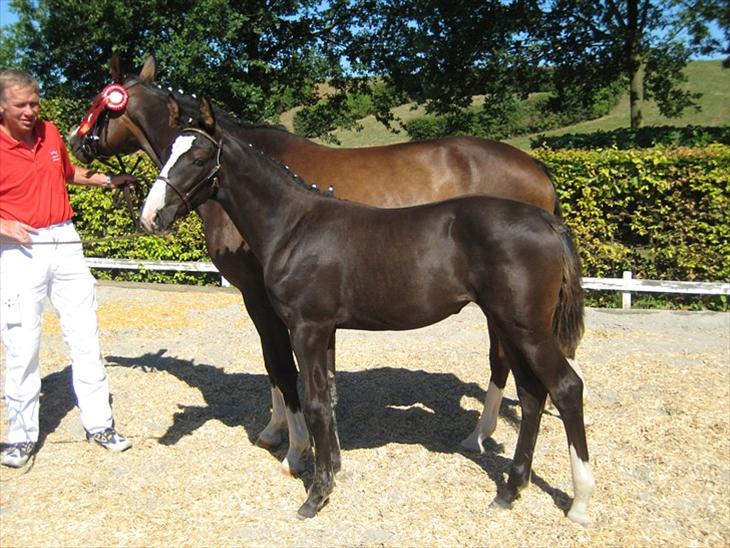 {{currentPhoto.altText}} billede {{currentPhoto.number}}