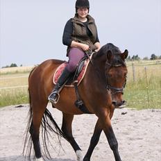 Anden særlig race Don Juan