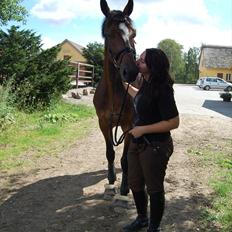 Dansk Varmblod AB Lacour (Basse)