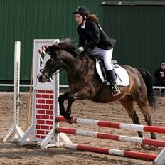 Anden særlig race Foxy