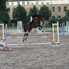 Holstener Cool Breeze *SOLGT!*