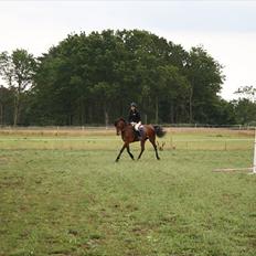 Holstener Cool Breeze *SOLGT!*