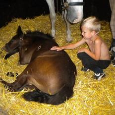 Connemara Haahr's Master Yoda