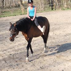 DSP Tovdal's miss DayDream