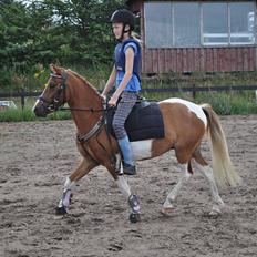 Anden særlig race Johnny Boy (Ikke min)