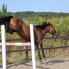 Anden særlig race Time and Patience