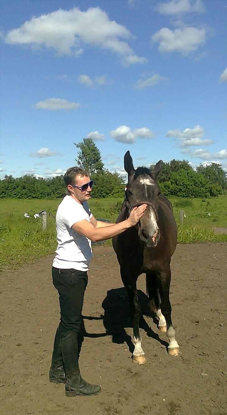 Anden særlig race Barnaby billede 9