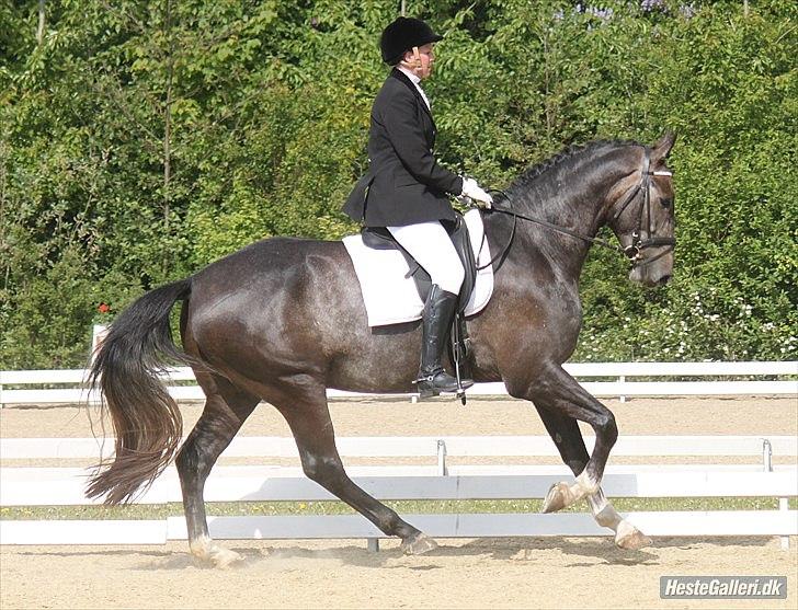 Anden særlig race Barnaby - Første stævne 21. maj 2011 Fotograf: © NB © billede 11