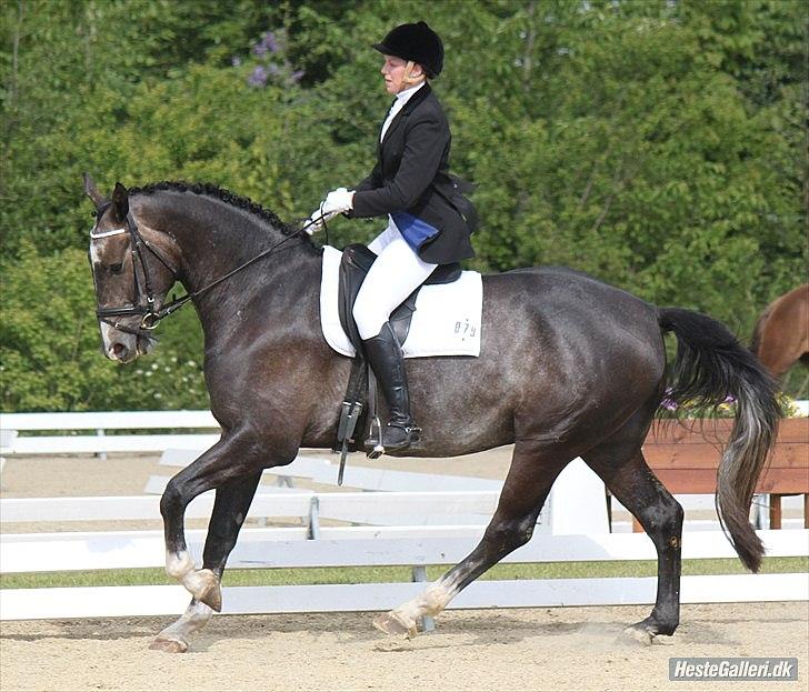 Anden særlig race Barnaby - Første stævne 21. maj 2011 Fotograf: © NB © billede 12