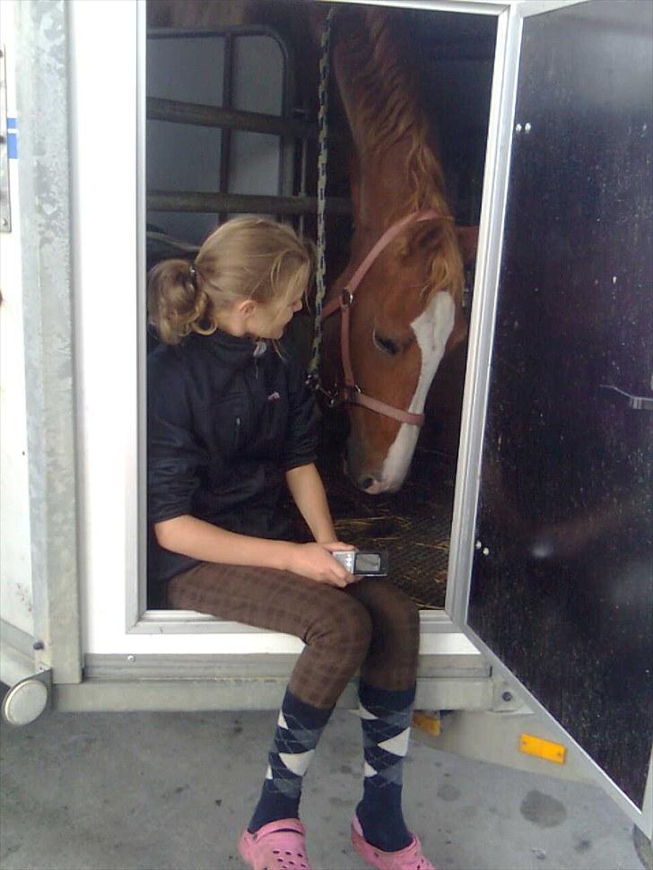 Frederiksborg Humlegårdens Bastian. - på vej til rideskolen billede 5
