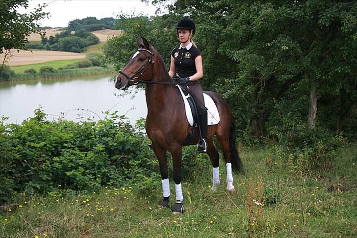New Forest Opbroek´s Aron (solgt) -  Aron nede ved søen  billede 19