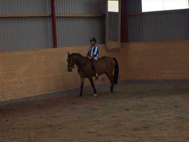 Anden særlig race simba  solgt - billede tage den 30/7-2010 billede 6