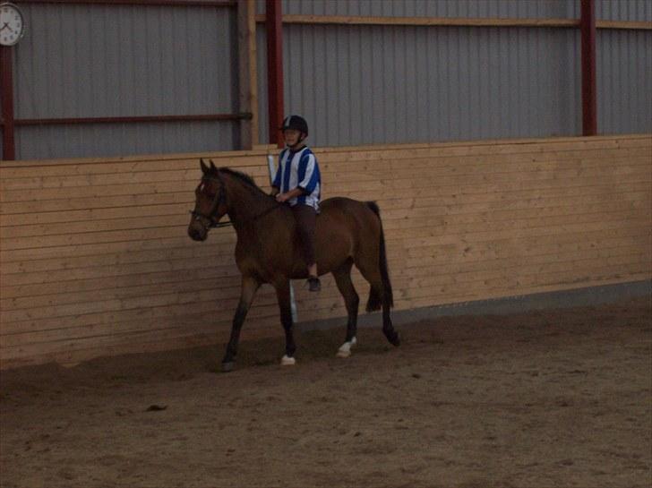Anden særlig race simba  solgt - billede tage den 30/7-2010  billede 7