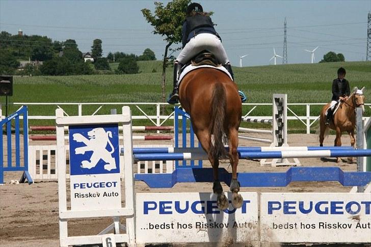 Holstener Clemento 2 - R.I.P :'( - Han kan godt lukke forbenene op :D foto: Sarah/Ida billede 20