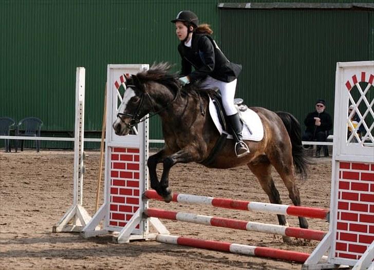 Anden særlig race Foxy - Stævne på Allerupgaard 2010 billede 3