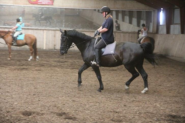 Anden særlig race Flika billede 23