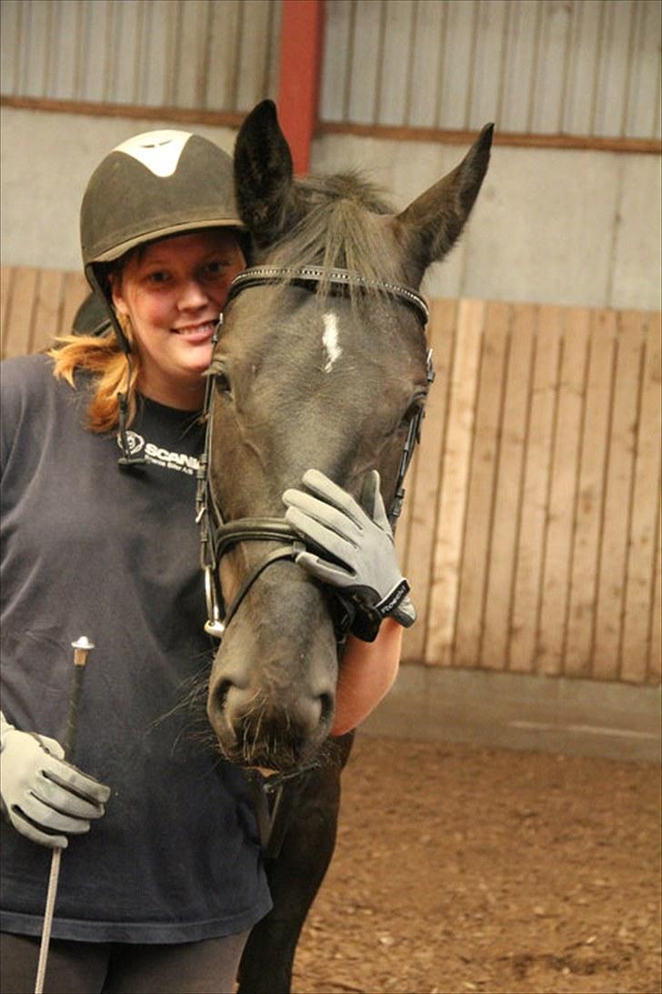 Anden særlig race Flika billede 14