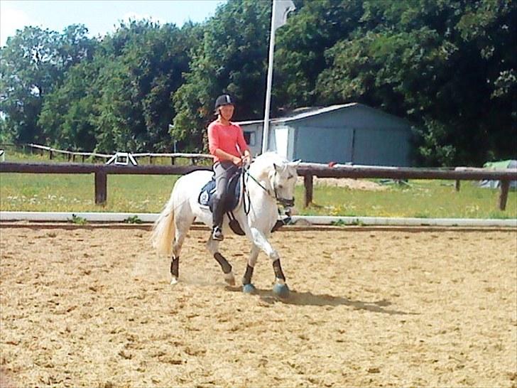 Anden særlig race Ronja billede 5