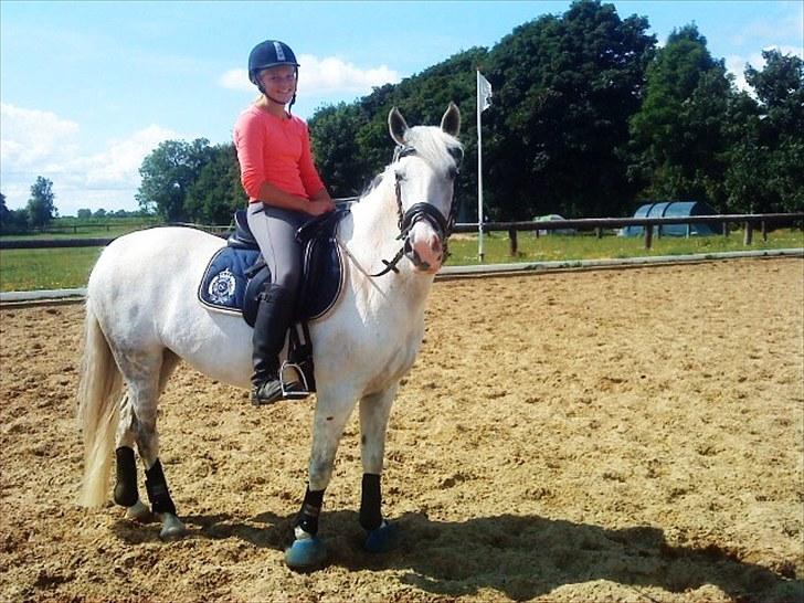 Anden særlig race Ronja billede 6