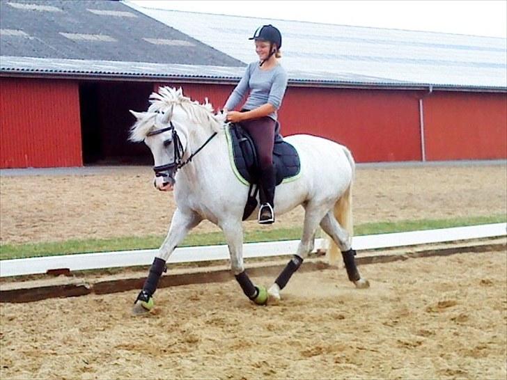 Anden særlig race Ronja billede 7