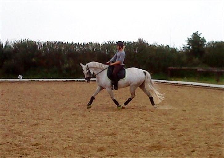 Anden særlig race Ronja billede 9