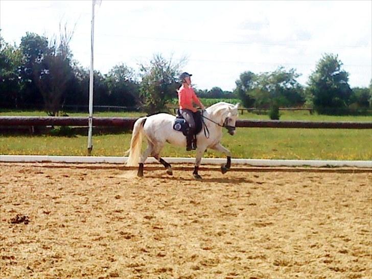 Anden særlig race Ronja billede 10