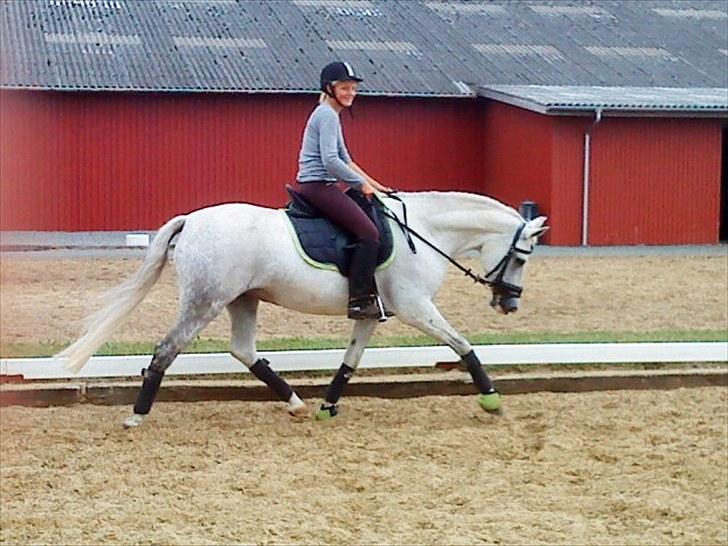 Anden særlig race Ronja - Så traver vi af :D billede 11