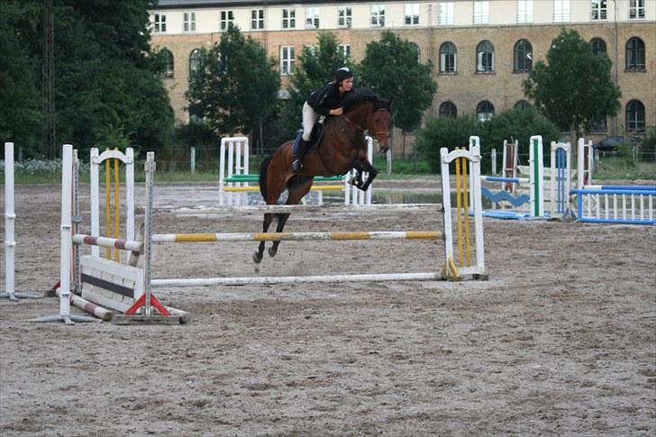 Holstener Cool Breeze *SOLGT!* - Velkommen til Cool Brezze´s profil! ;-) billede 1