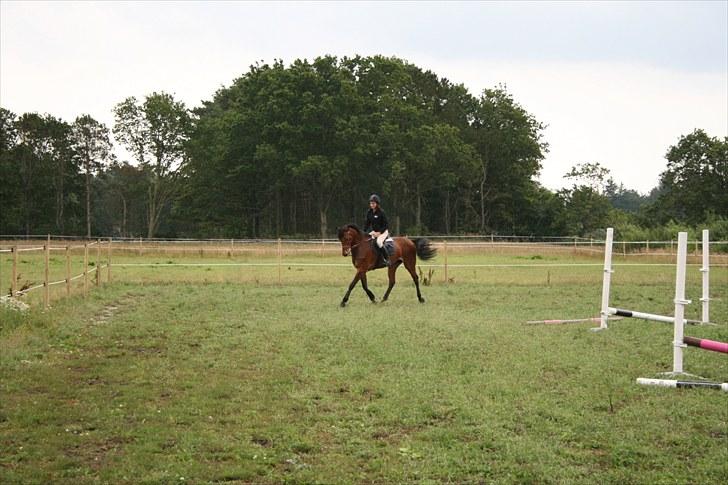 Holstener Cool Breeze *SOLGT!* billede 3