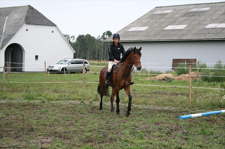 Holstener Cool Breeze *SOLGT!* billede 6