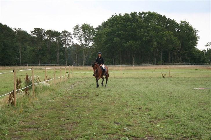 Holstener Cool Breeze *SOLGT!* billede 7