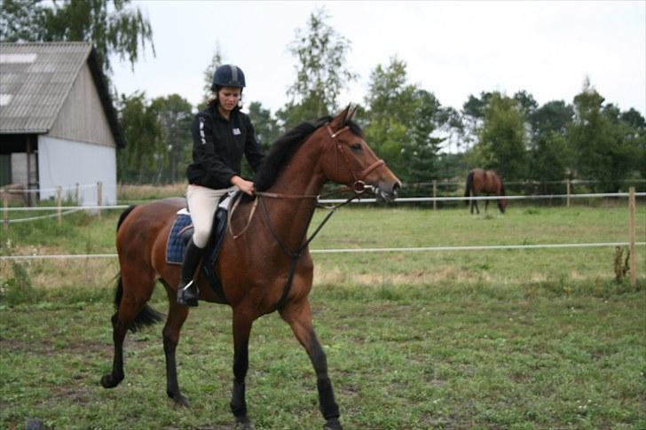 Holstener Cool Breeze *SOLGT!* billede 9