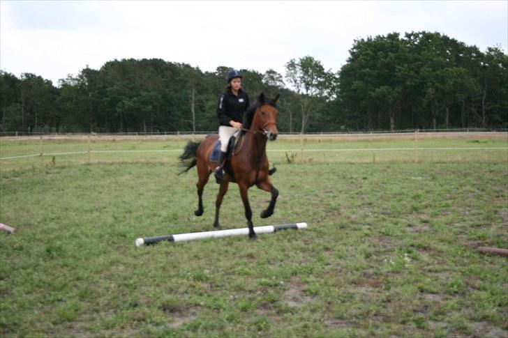 Holstener Cool Breeze *SOLGT!* billede 10