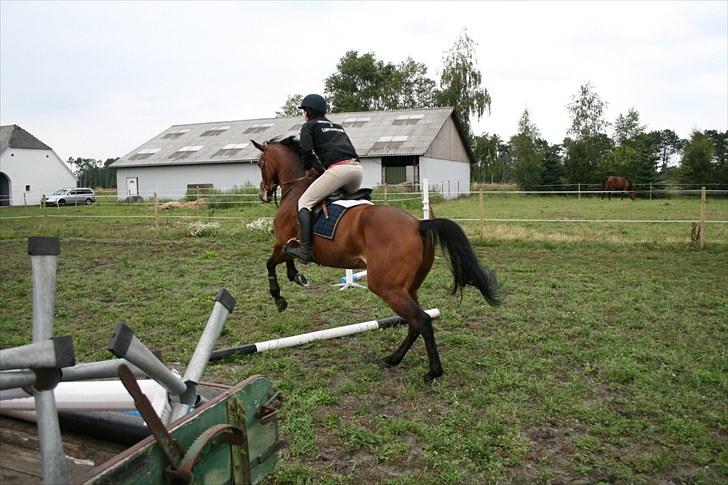 Holstener Cool Breeze *SOLGT!* billede 11