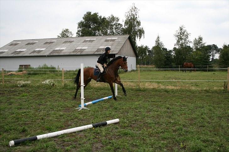 Holstener Cool Breeze *SOLGT!* billede 13