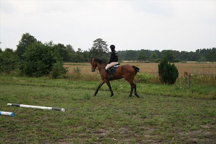 Holstener Cool Breeze *SOLGT!* billede 16