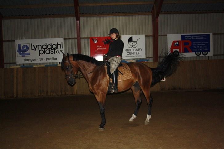 Oldenborg scaro R.I.P billede 4