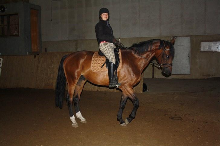 Oldenborg scaro R.I.P billede 5