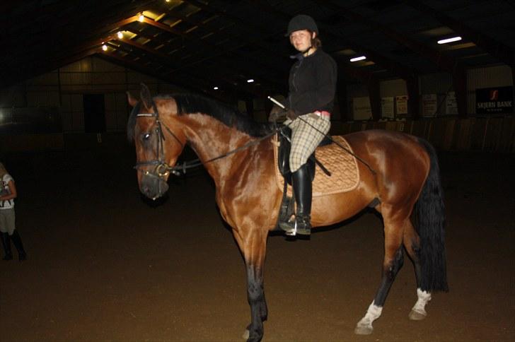 Oldenborg scaro R.I.P billede 6