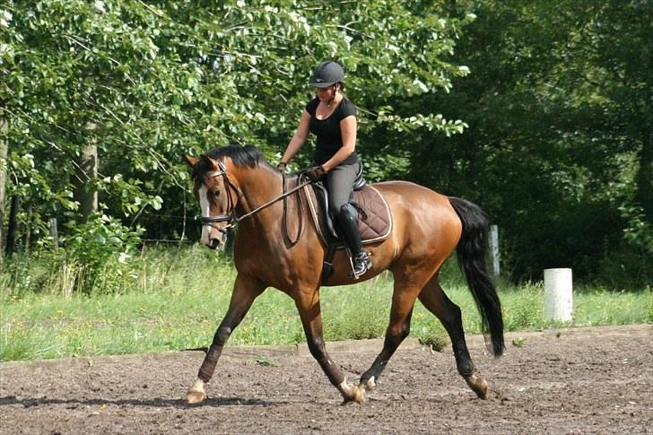 Dansk Varmblod The Royal Eternity - 31/7 2010 - Mig og Eternity billede 10