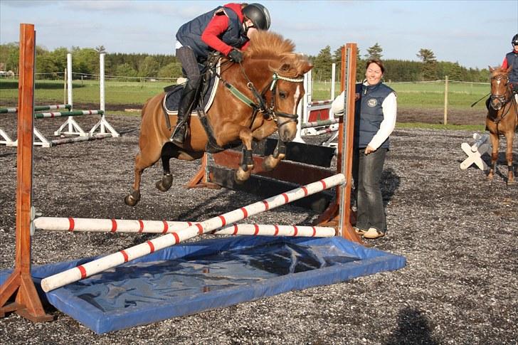 Anden særlig race Nicki solgt!! billede 10