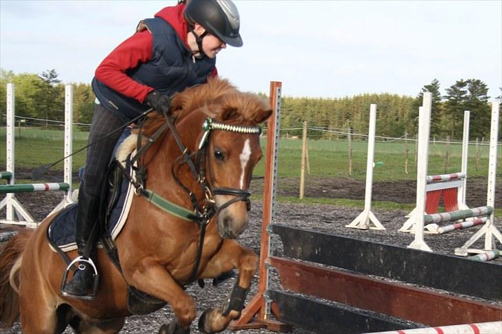 Anden særlig race Nicki solgt!! billede 11